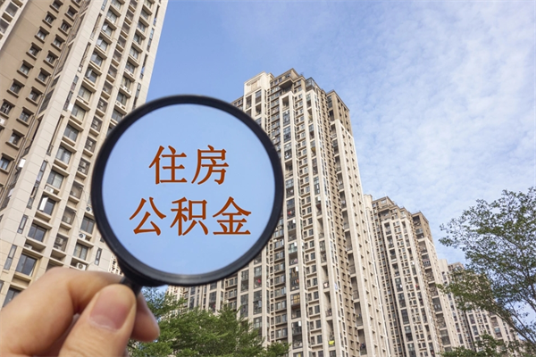 樟树怎么取住房住房公积金（取住房公积金方法）